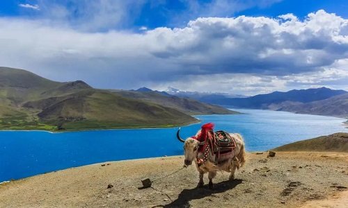 Yamdrok-Yumtso-Lake-Tibet